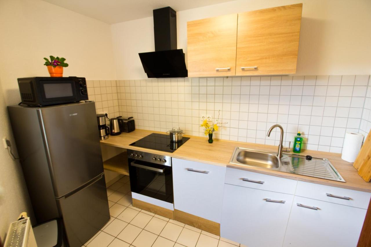Ferienwohnung Tukan Apartment Dresden Laubegast Wlan Tv Ebike Zewnętrze zdjęcie